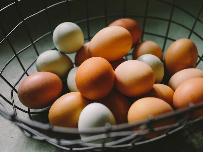 Hər gün yumurta yemək zərərlidirmi?