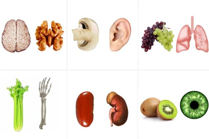 Bənzədiyi orqana şəfa verən qidalar – Maraqlı məlumatlar