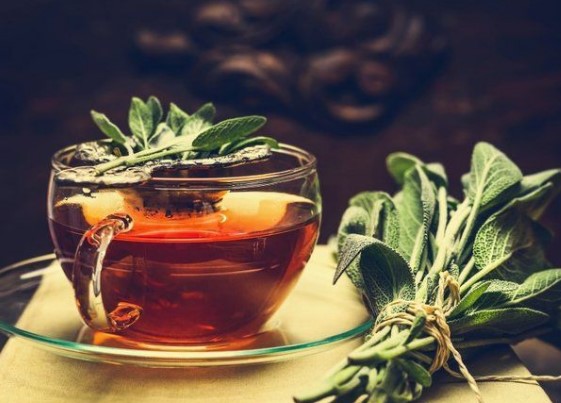 Şalfey çayının faydaları — Diabet, depressiya, iltihab….