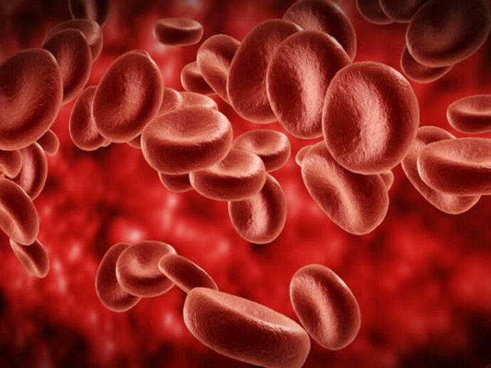 Qan damarlarının təmizlənməsi